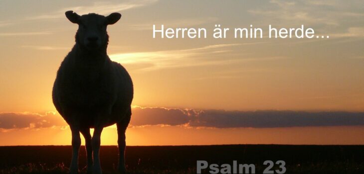 Psalm 23